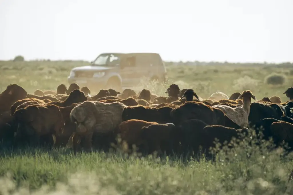 When it comes to battling cold weather, the material of your long johns can make a significant difference in your comfort and warmth.