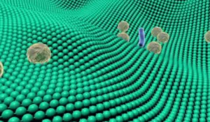 The Science Behind Silver Ion Antimicrobial Fabric Technology-