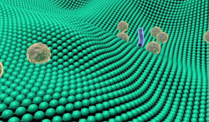 Silver Ion Antimicrobial Fabric 1