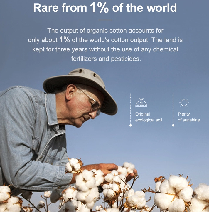 Organic Cotton vs. Recycled Polyester